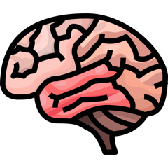 cranio-sacrale Osteopathie