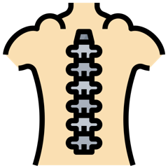 strukturelle oder auch parietale Osteopathie